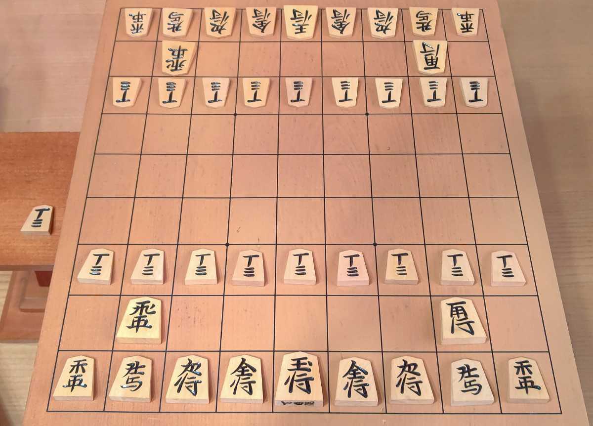 最大の割引 人気ブランドの新作 御将棋駒 天月作 www 68.0%OFF 木製