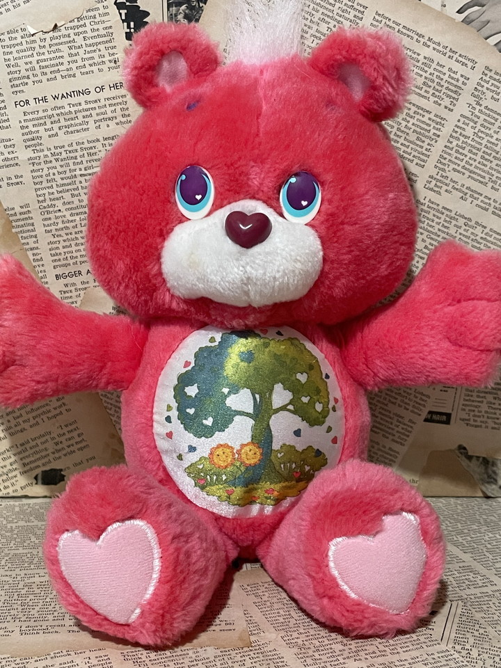 ☆1990年代Care Bears/ケアベア/環境ベア/フレンド/ぬいぐるみ即決ビンテージUSAレア/ファンシー☆_画像1