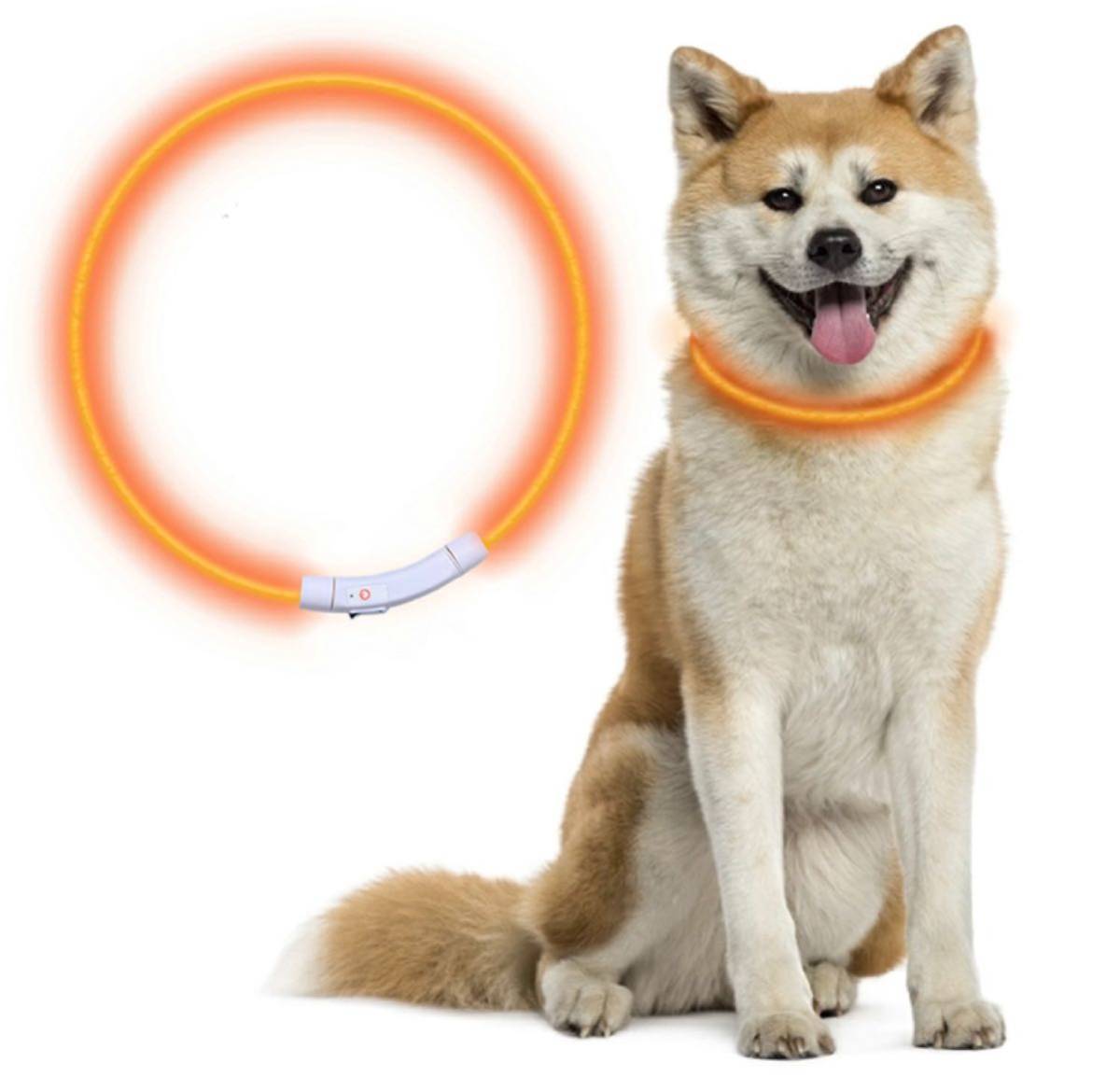 首輪 犬 光る ペット LEDライト USB充電式 取付簡単 調整可能　オレンジ_画像1