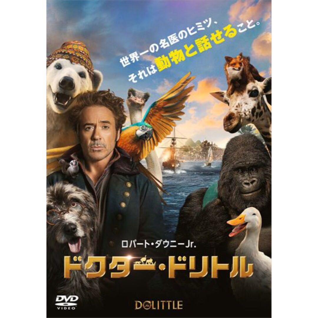DVD 映画 ドクター・ドリトル (2020) レンタル落ち ロバート ダウニーJr.