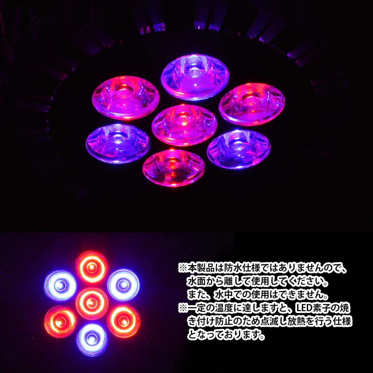 LED 電球 スポットライト 14W 青3/赤4灯 水槽 照明 E26 観賞育成 LEDスポットライト 電気 水草 サンゴ 熱帯魚 観賞魚 植物育成_画像4