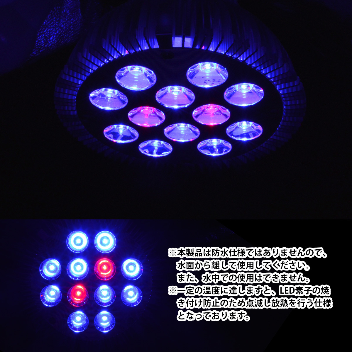 LED 電球 スポットライト 24W(2W×12)青10赤2 水槽 照明 E26 LEDスポットライト 電気 水草 サンゴ 熱帯魚 観賞魚 植物育成_画像4