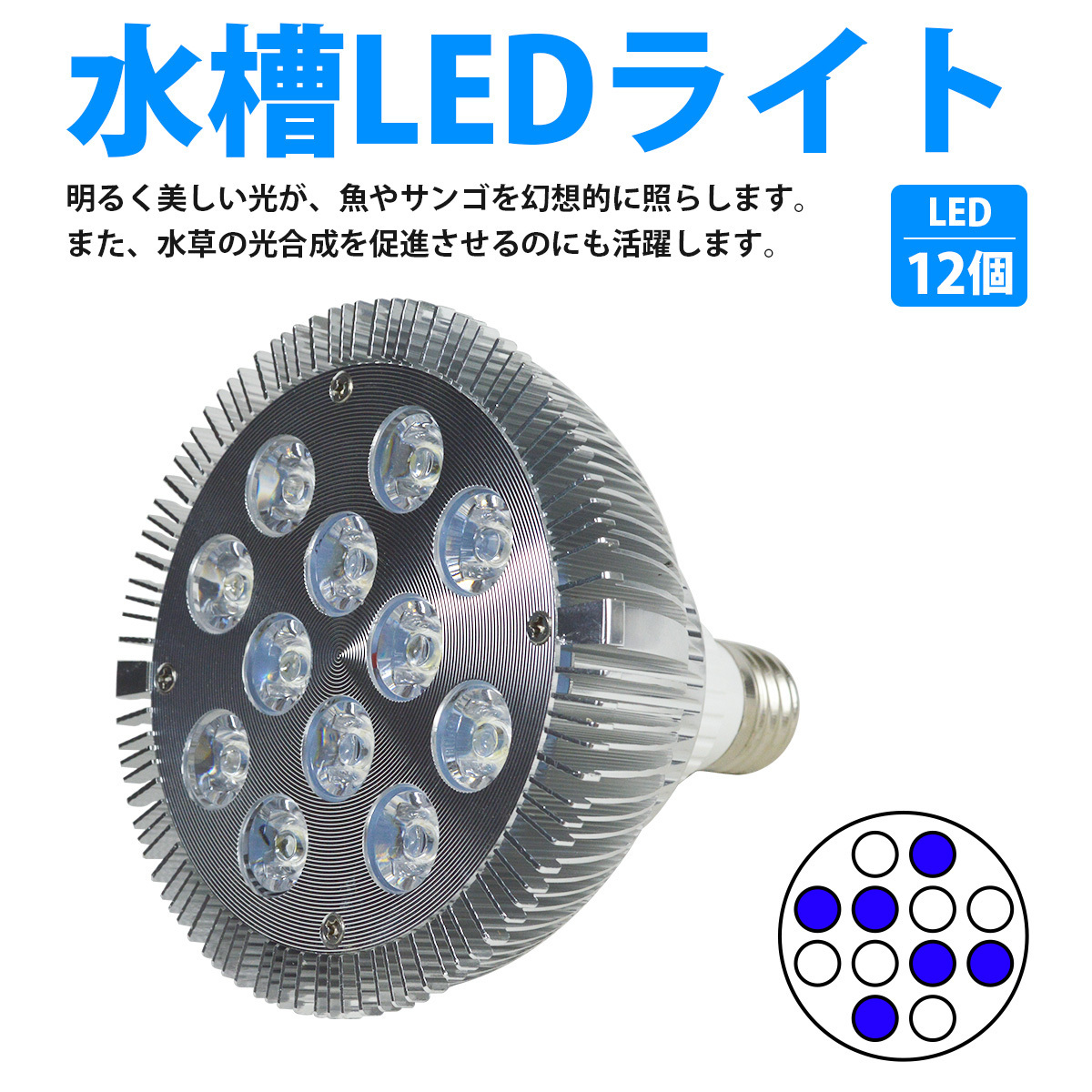 LED 電球 スポットライト 24W(2W×12)白6青6 水槽 照明 E26 水草 LEDスポットライト 電気 水草 サンゴ 熱帯魚 観賞魚 植物育成_画像2
