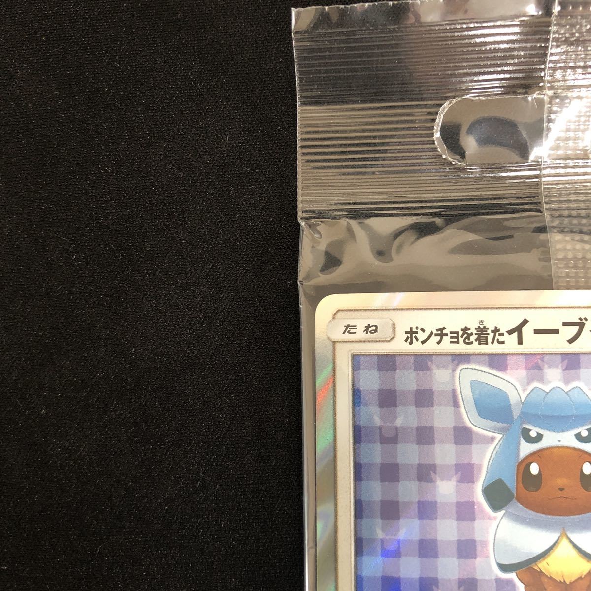 未開封】ポケモンカード ポンチョを着たイーブイ グレイシア プロモ