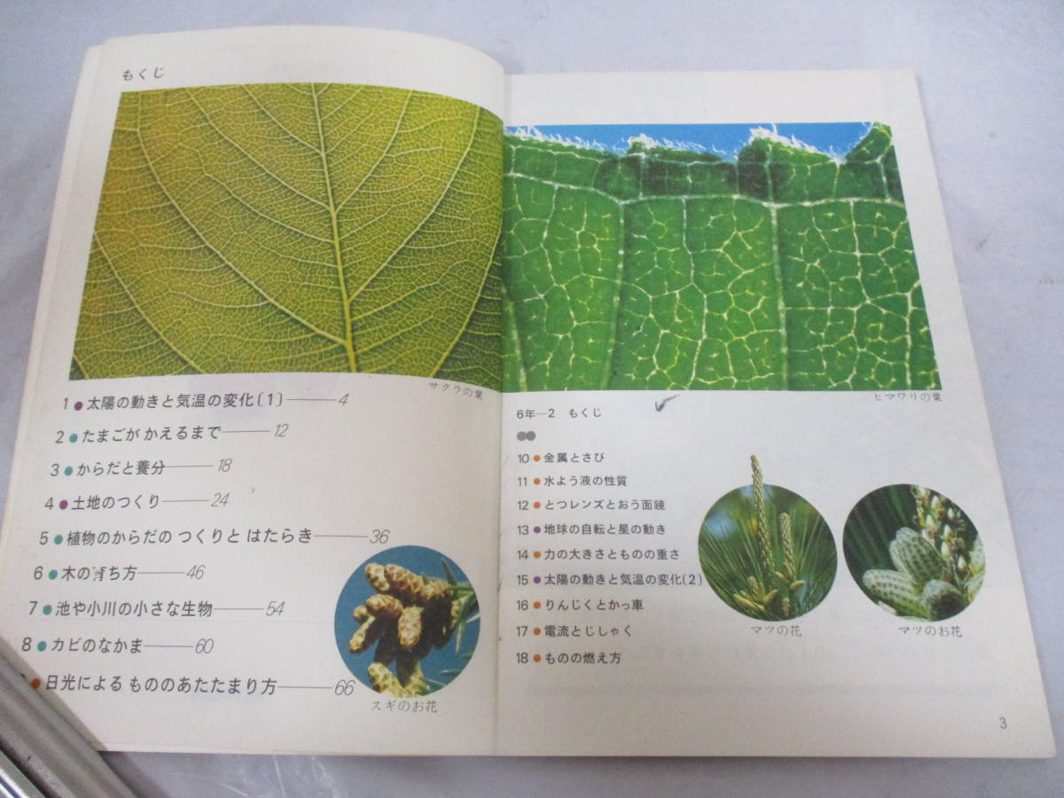 3 pcs. new science old textbook 2*4*6 year raw Showa era 52*53*54 year elementary school large Japan books 