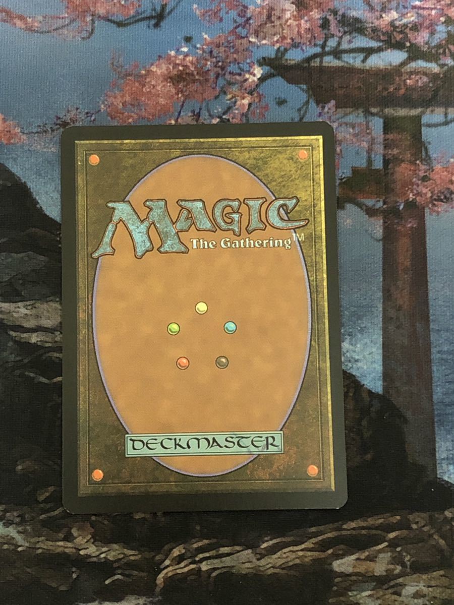 MTG 孤独/Solitude MH2 英語 ボーダーレスfoil 【メール便送料無料対応