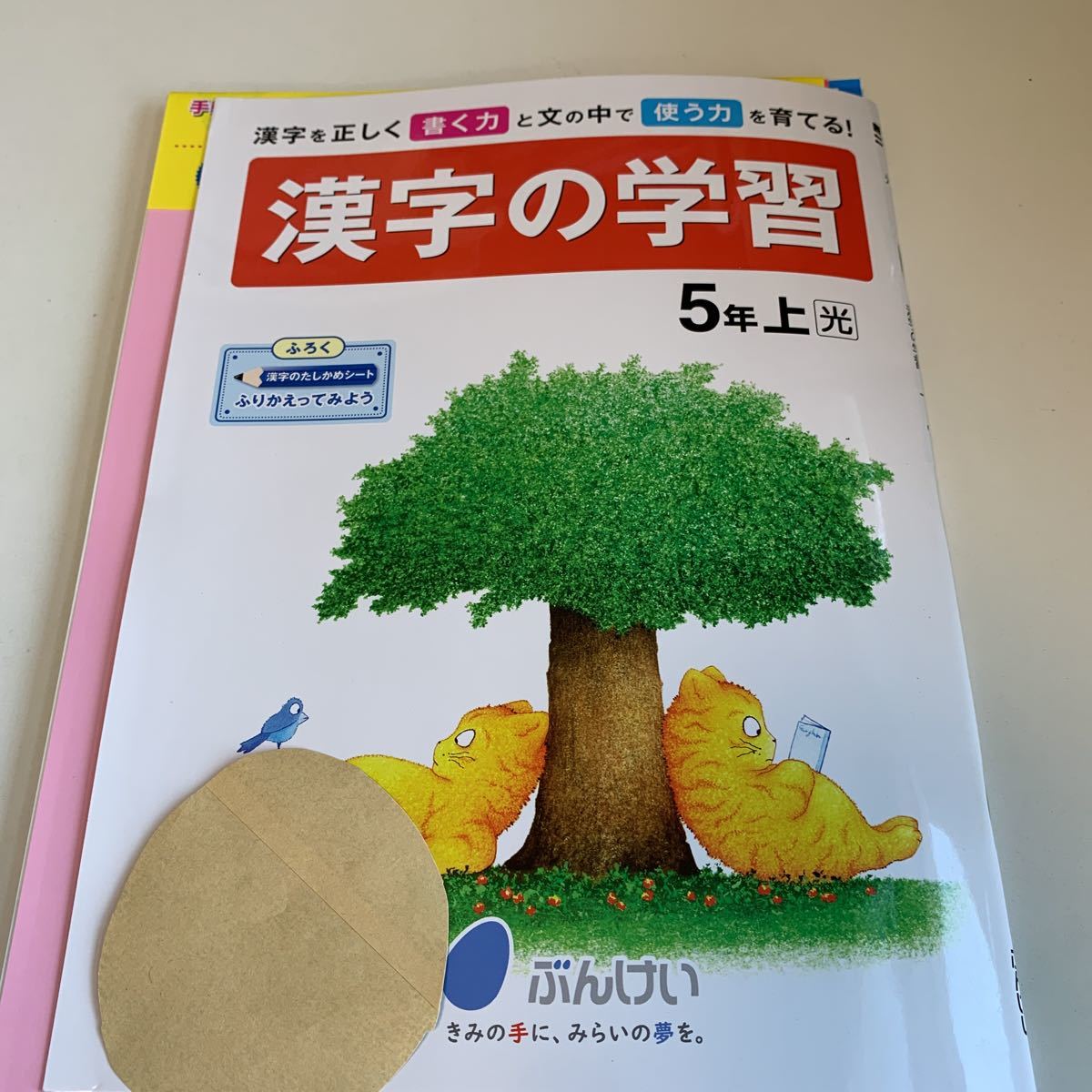 Y25.518 漢字の学習 ノート付き ドリル 計算 小学5年 上 受験 テスト プリント 予習 復習 国語 算数 理科 社会 英語 家庭科 教材 家庭学習_画像1