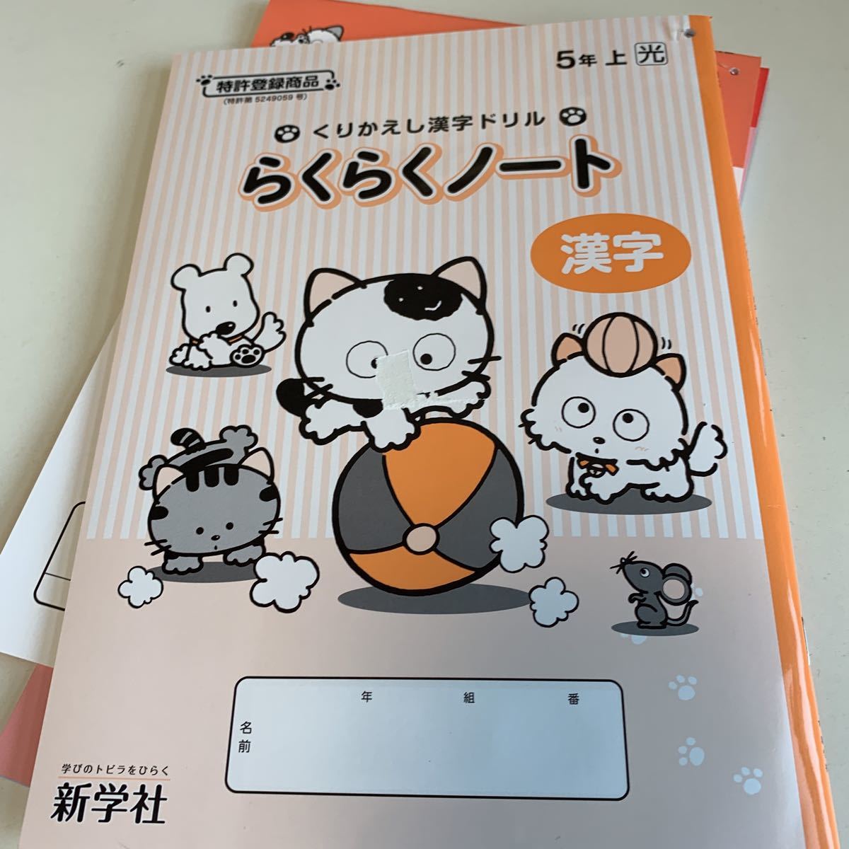 Y25.535 新くりかえし漢字ドリル ドリル 計算 小学5年 上 受験 テスト プリント 予習 復習 国語 算数 理科 社会 英語 家庭科 教材 家庭学習_画像4