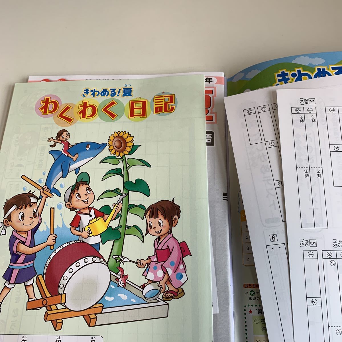 Y25.617 きわめる夏 5教科 ドリル 計算 小学5年 上 受験 テスト プリント 予習 復習 国語 算数 理科 社会 英語 家庭科 教材 家庭学習_画像6