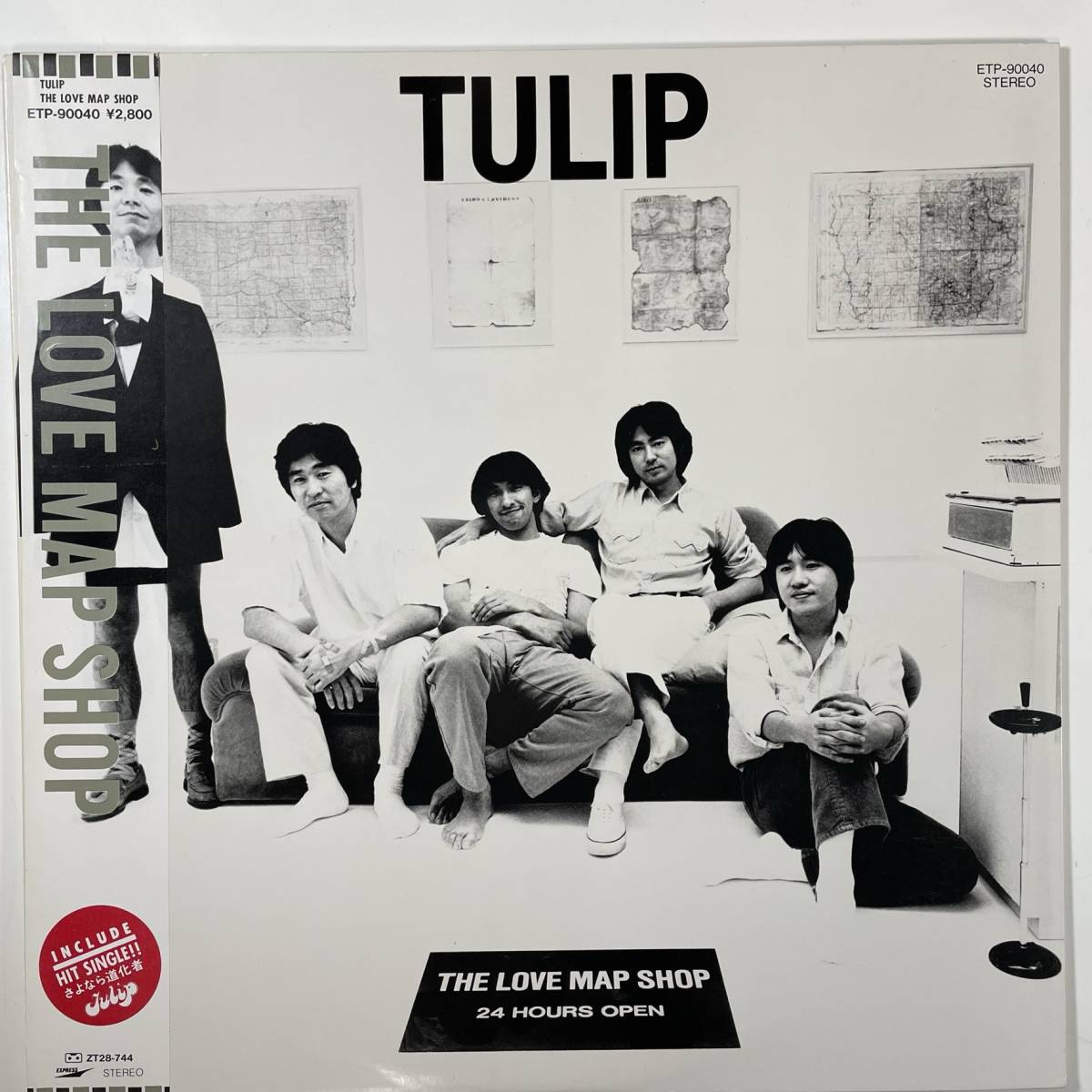 8649 * beautiful record tulip /The Love Map Shop