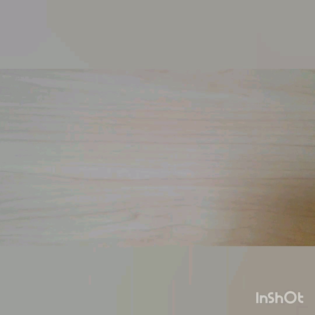 リアルに這うように動く虫‘“'`