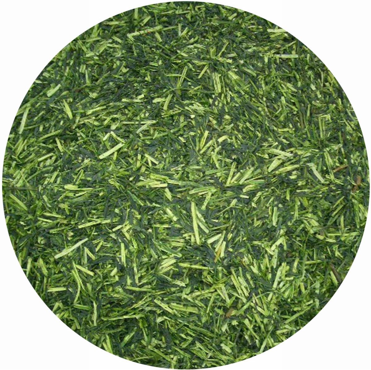 お茶 専門店の特上 玉露 かりがね (茎茶) 100g x10袋 セット 送料無料_画像2