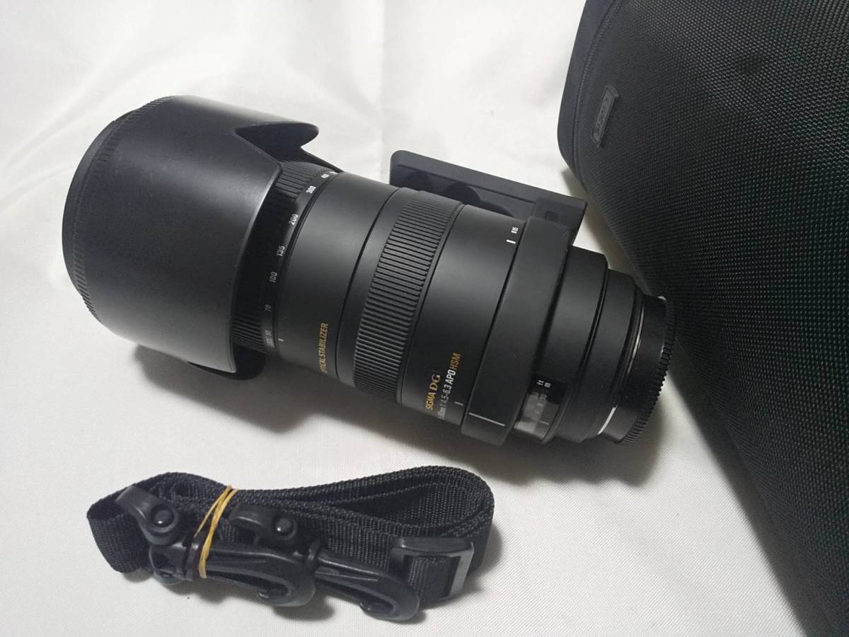 シグマAPO 50-500mm F4.5-6.3 DG OS HSM ソニー用 | www.tspea.org