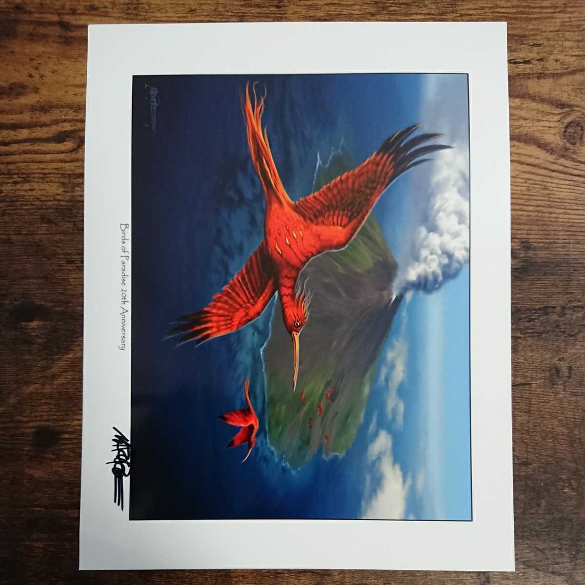 MTG《極楽鳥2013/Birds of Paradise2013》Mark Poole サイン入りアートプリント/複製原画_画像2