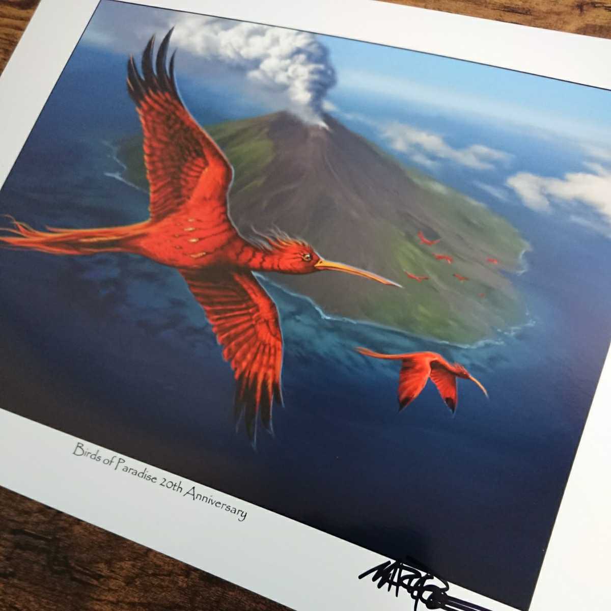 MTG《極楽鳥2013/Birds of Paradise2013》Mark Poole サイン入りアートプリント/複製原画_画像3