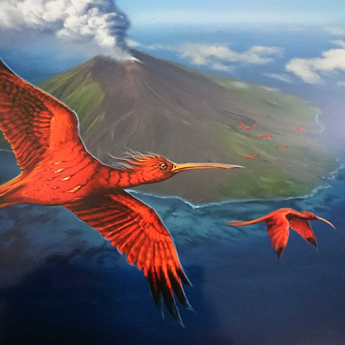 MTG《極楽鳥2013/Birds of Paradise2013》Mark Poole サイン入りアートプリント/複製原画_画像5