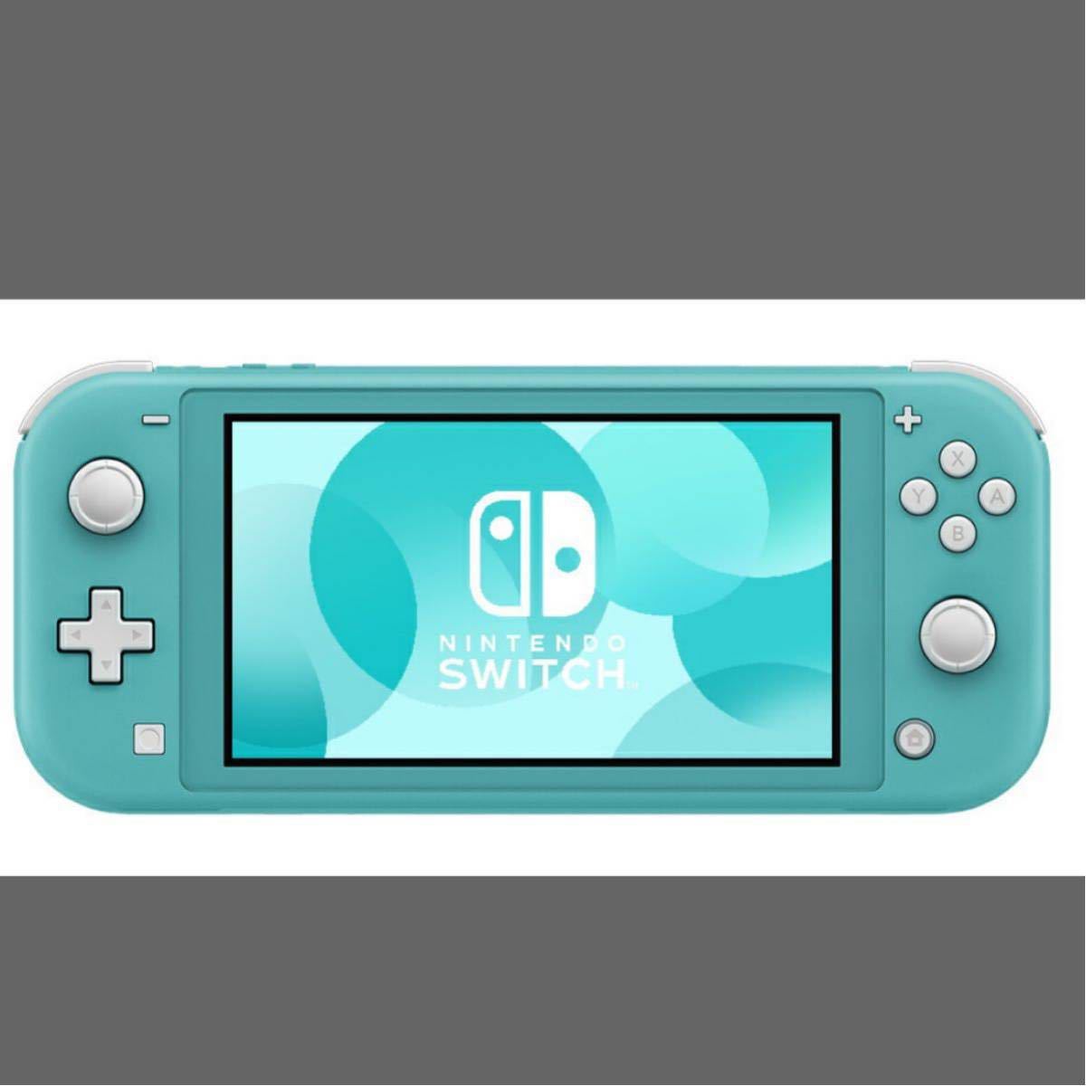 新品 任天堂-Nintendo Switch ライト ターコイズ - taxijetci.com
