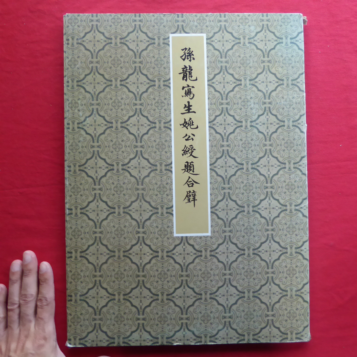 NEW限定品】 大型t【孫龍写生公綬題合壁/中華民国74年初版・国立故宮