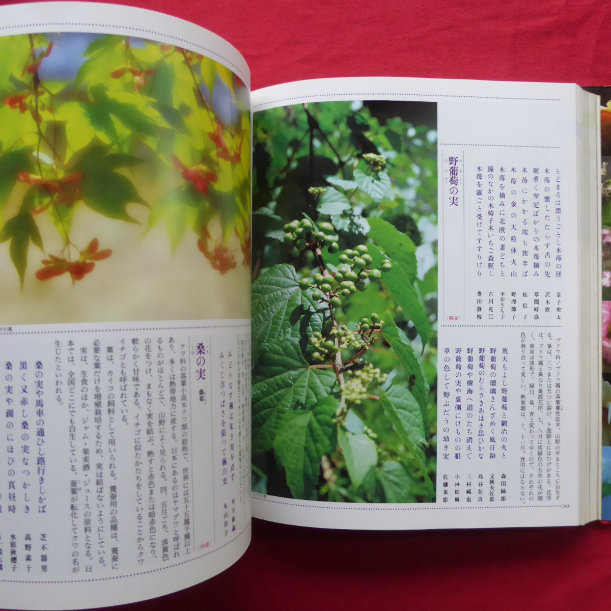 item_image_7