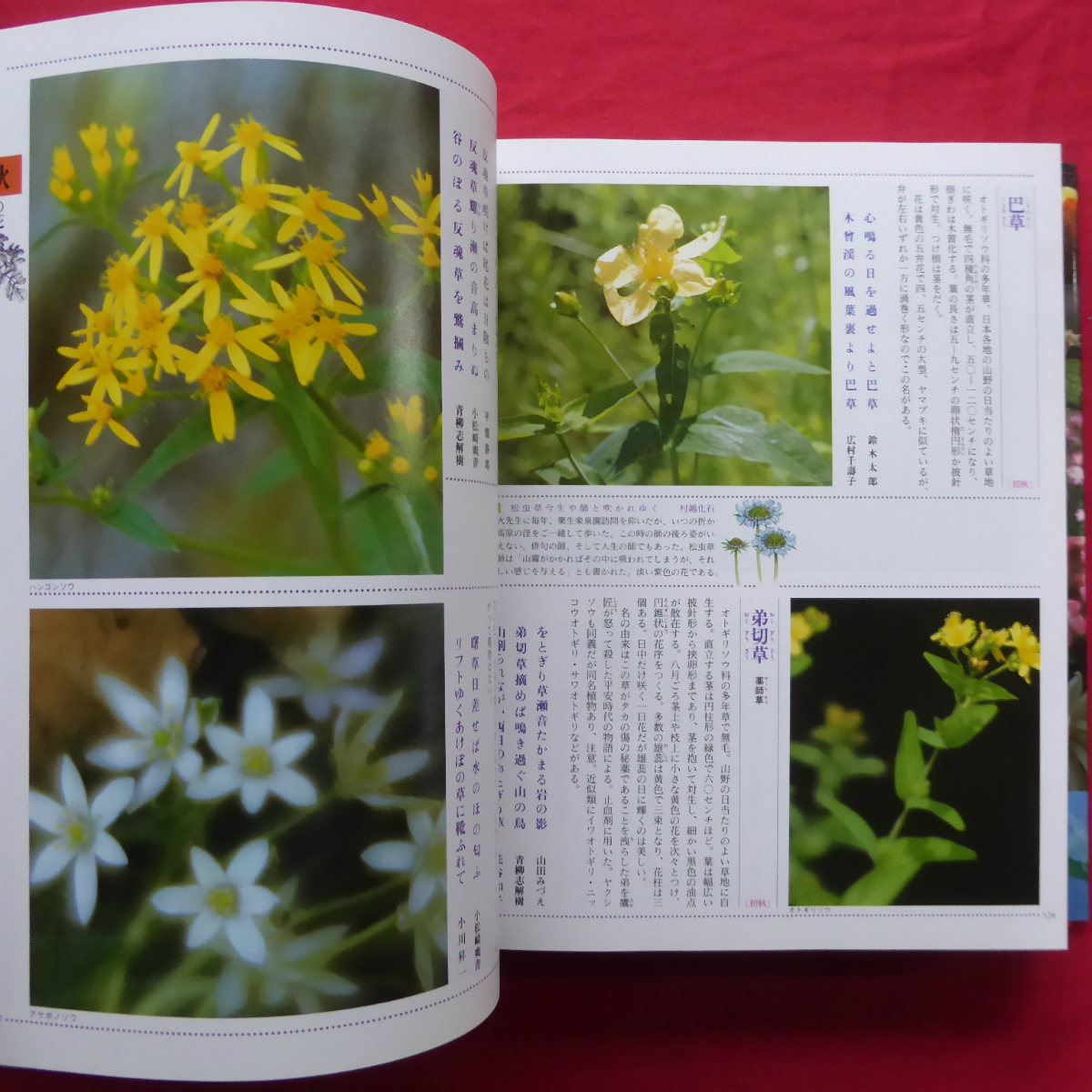 item_image_10