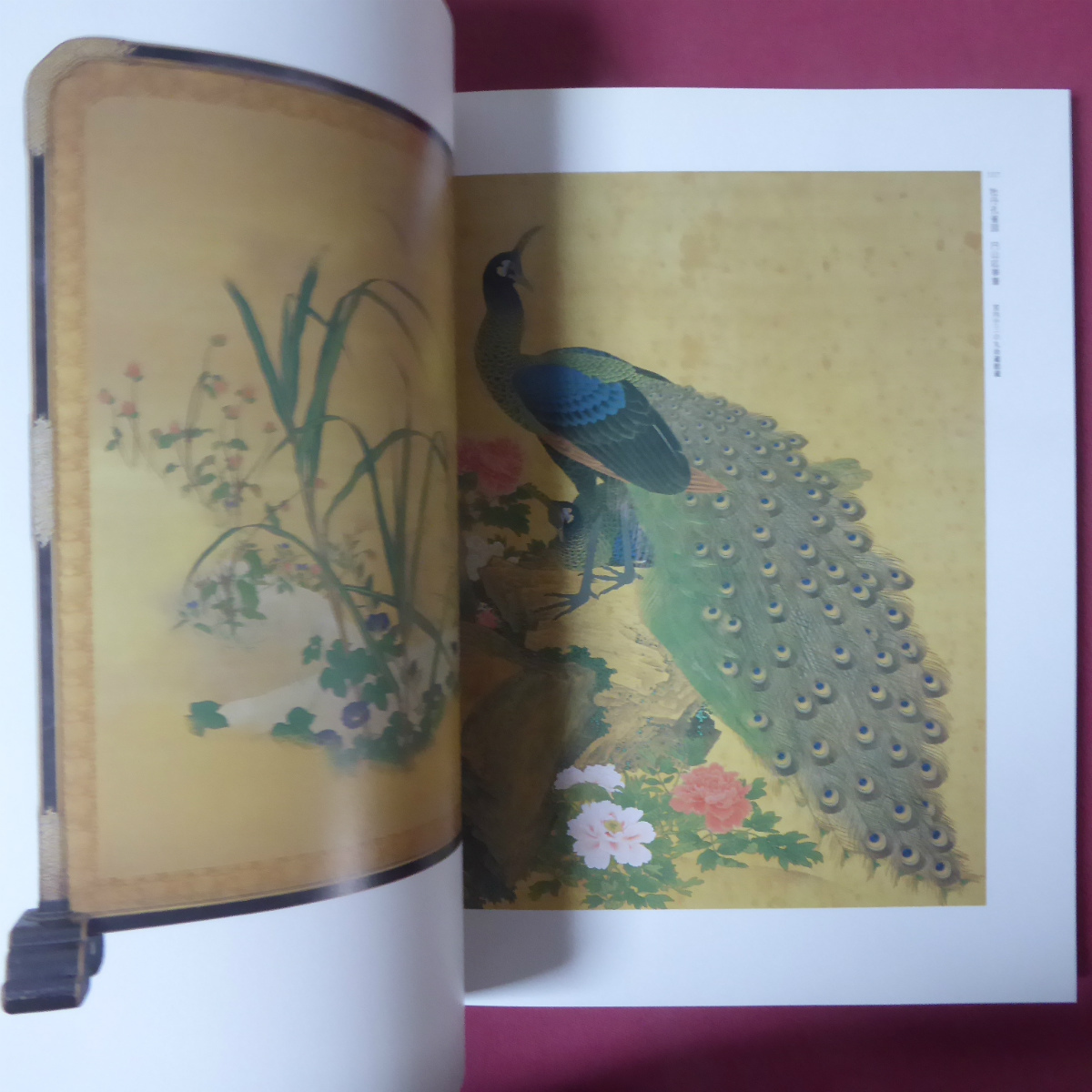 item_image_10