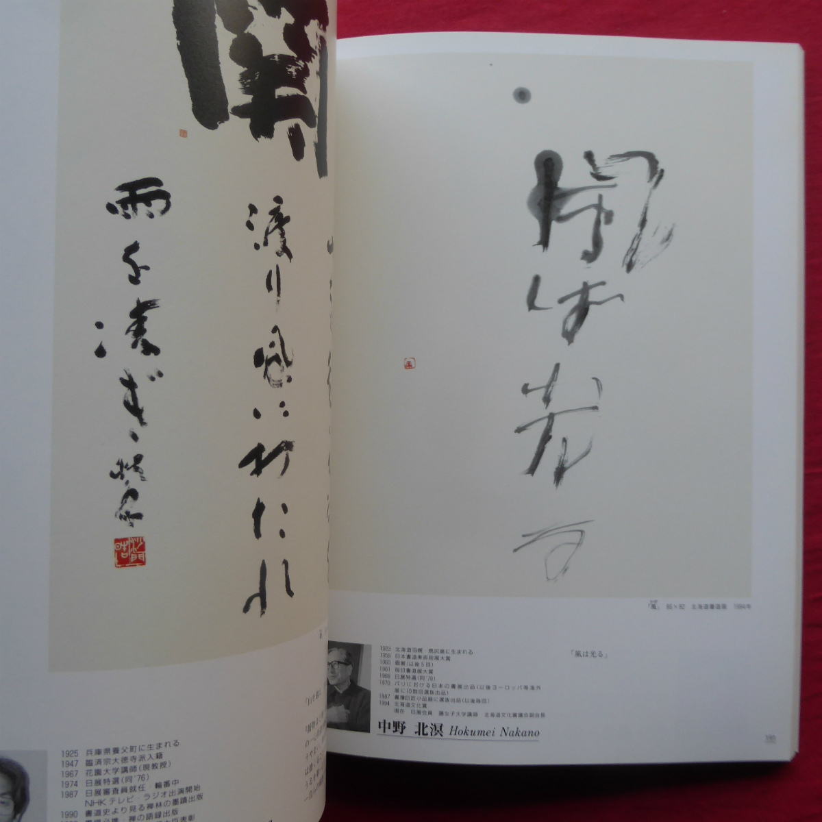 d2図録【日本の書道/マリア書房・1996年】漢字作家/かな作家/調和体(近代詩文書)作家/墨象作家/篆刻(刻字)作家 @2_画像8