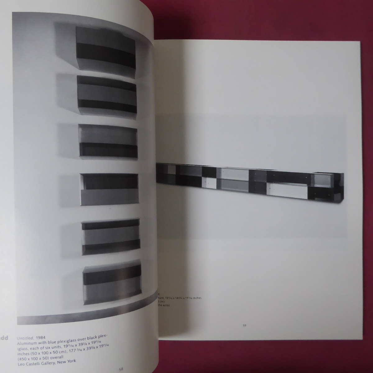 a10/洋書図録【ホイットニー・ビエンナーレ1985：Whitney Biennial 1985】リチャード・プリンス/ドナルド・ジャッド_画像10