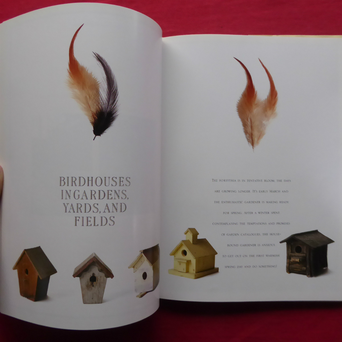 θ17/ иностранная книга [ bird housing :Birdhousing/1993 год ] клетка для птиц / птица маленький магазин 