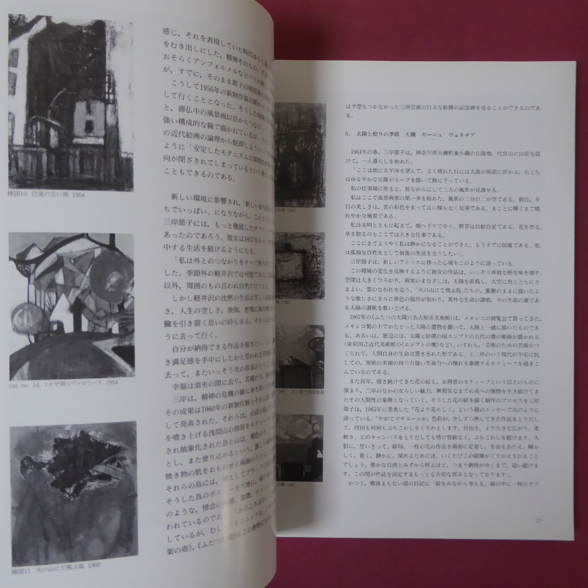 p6図録【三岸節子展/1991年】太田泰人:『三岸節子の人と芸術-ワシントン展によせて』/ロジェ・ブイヨ:三岸そして永遠の春_画像5