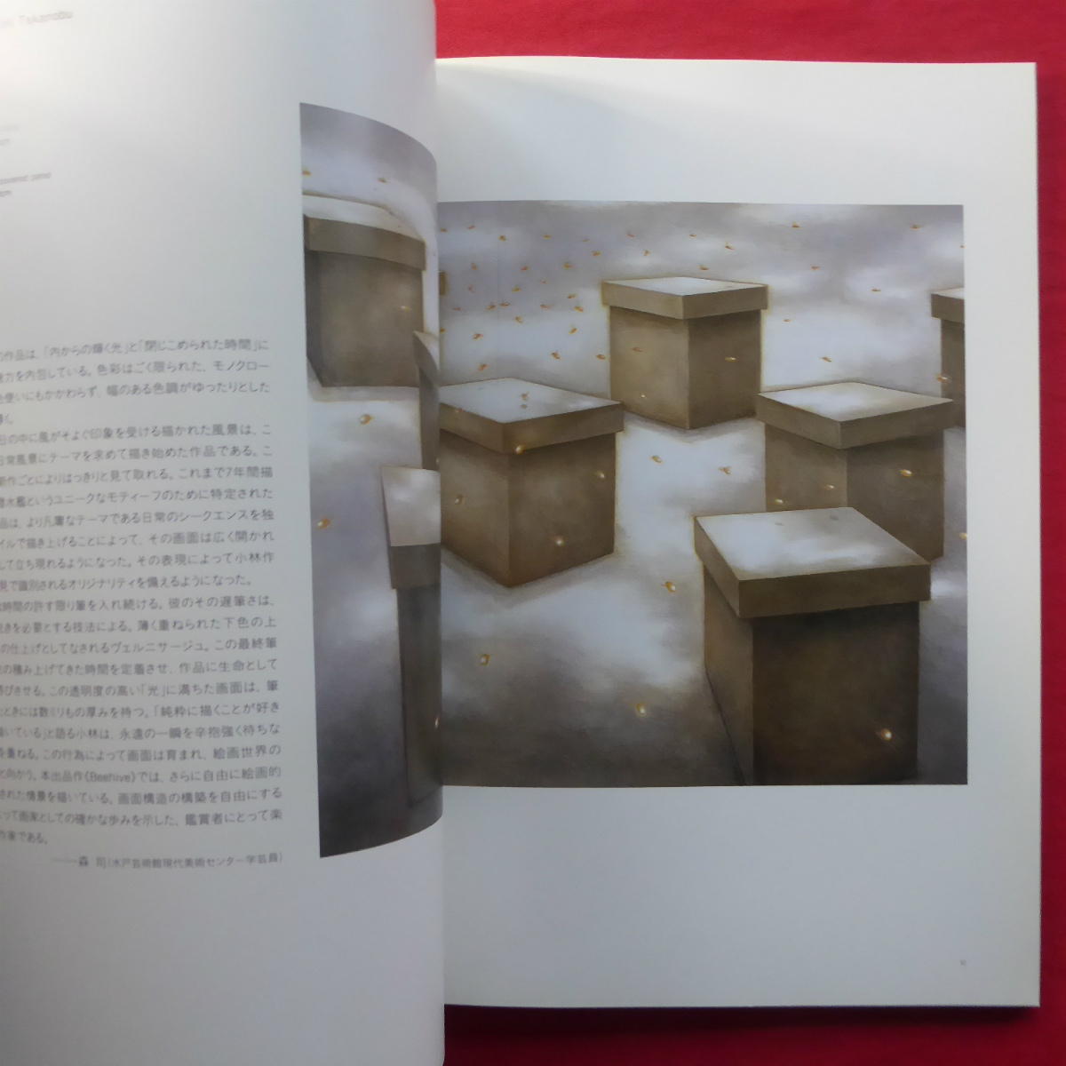 z30図録【現代美術の展望-新しい平面の作家たち/1996年・上野の森美術館】東島毅/小林孝亘/富岡直子/富田有紀子/端聡/児玉靖枝_画像10