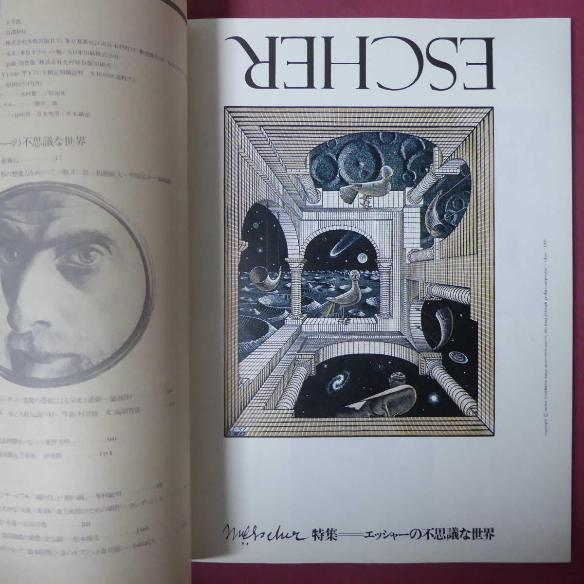 z25 fine art magazine [...][ special collection :e car -. mystery . world /dado/ Okamoto Taro / Kyoto bienna-re*76/te.byufe]