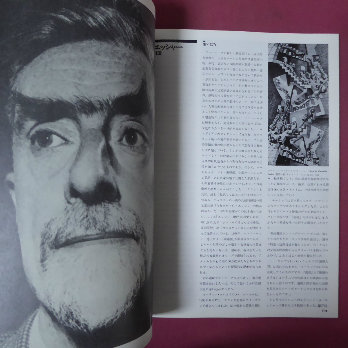 z25 fine art magazine [...][ special collection :e car -. mystery . world /dado/ Okamoto Taro / Kyoto bienna-re*76/te.byufe]