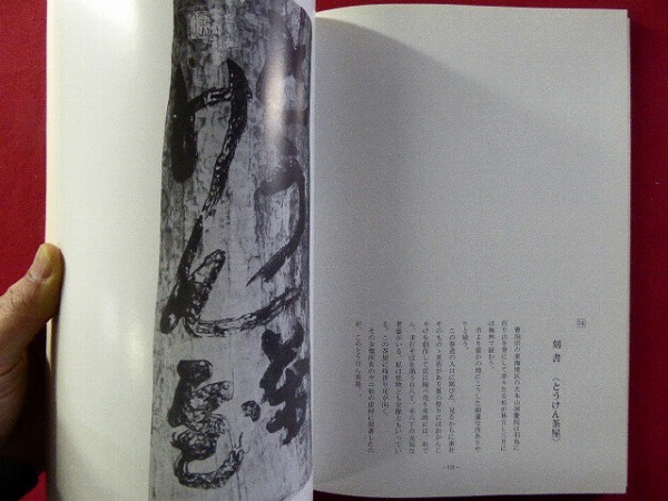 p11図録【書人 島津雪齊［旧号 半仙］ドキュメント展】 島津家 山本紫雲・江川碧譚に師事_画像8