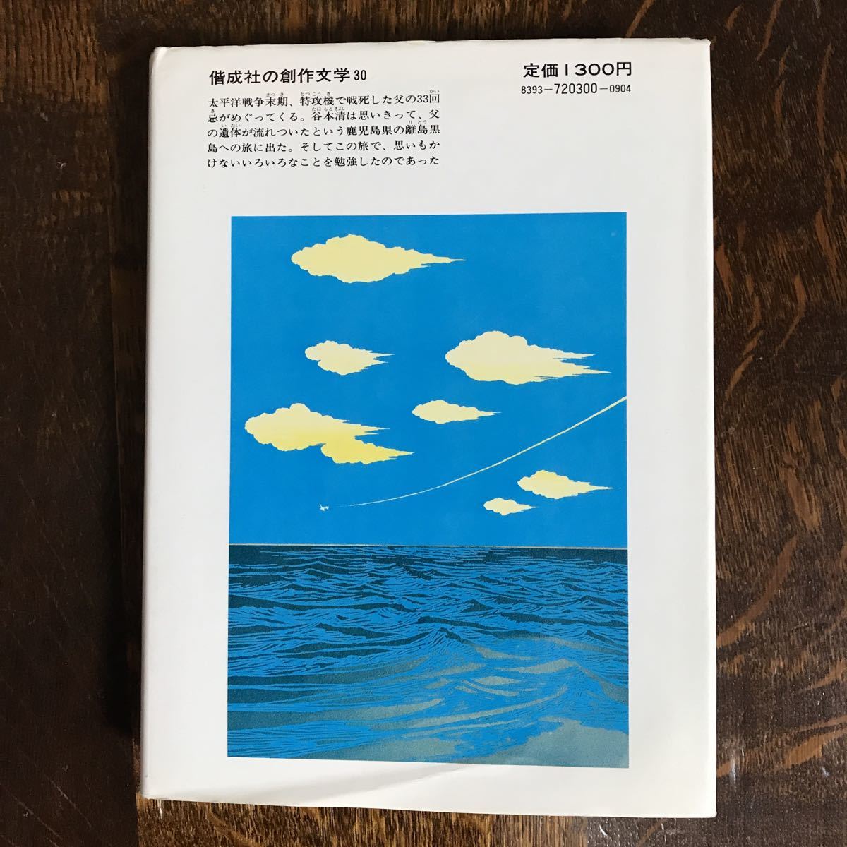 【古書 1980年初版】忘れられた島へ　長崎 源之助（作）赤坂 三好（絵）偕成社 　[aa85]_画像6