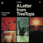 PNEUMATIC TUBES / A LETTER FROM TREETOPS (LP)_画像1