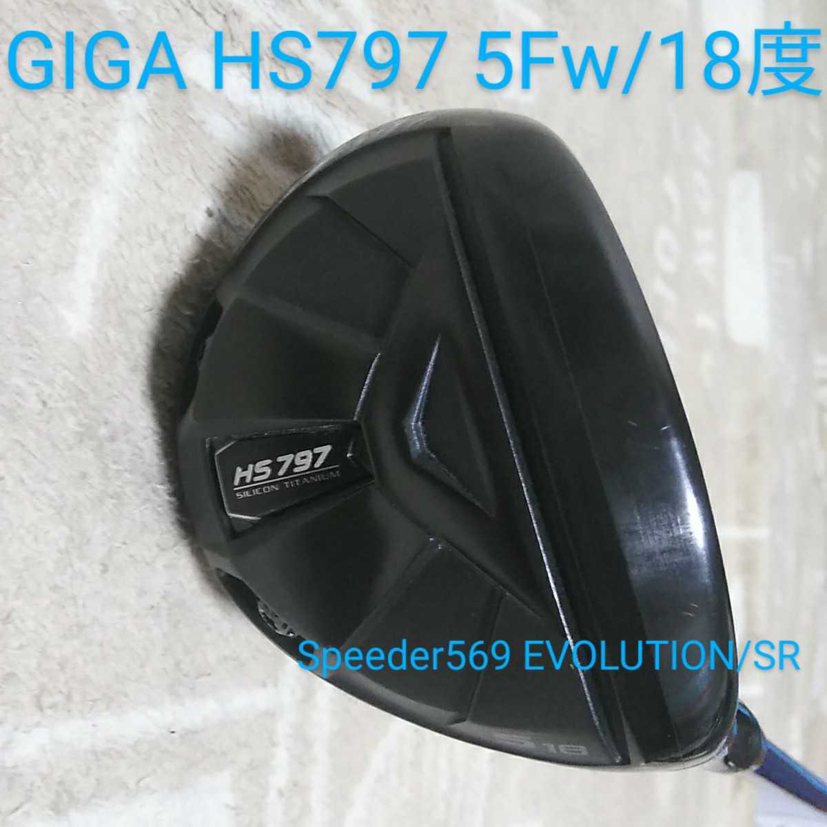 Eon Sports Giga HS797 Driver