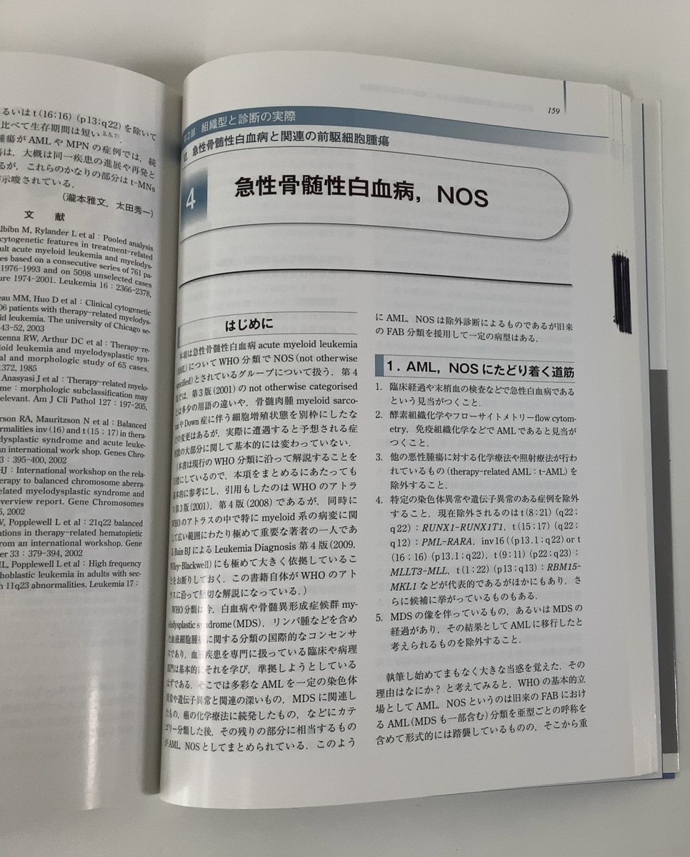 【除籍本】造血器腫瘍　腫瘍病理鑑別診断アトラス　 編集 定平吉都/北川昌伸　文光堂　2013年発行【ta02g】_画像6