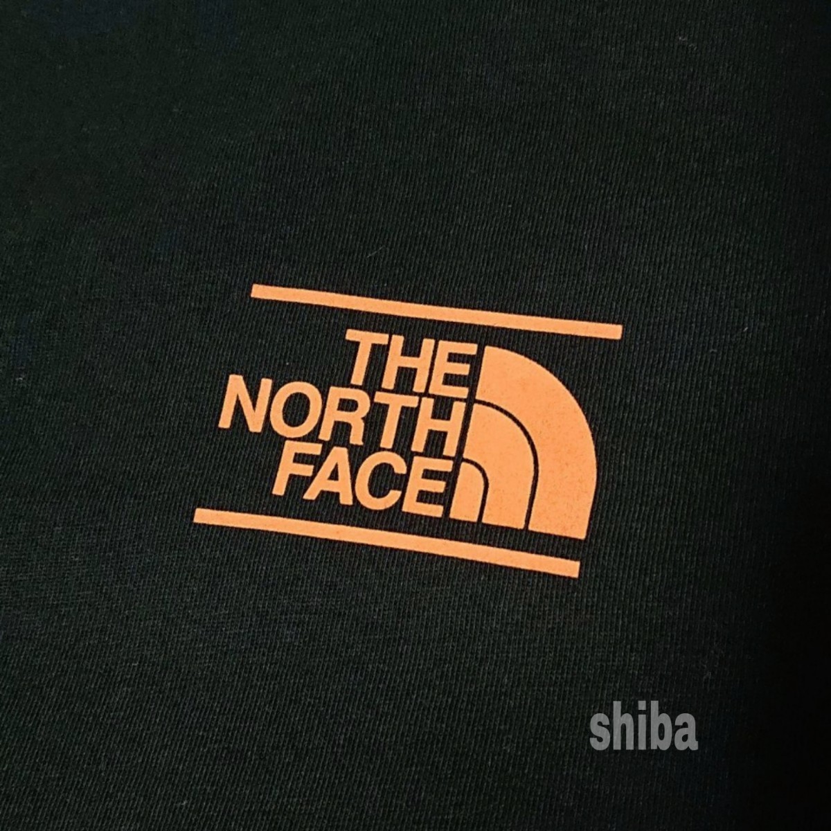 THE NORTH FACE ノースフェイス　長袖 ロンT ロング tシャツ 黒 ブラック 海外限定 センタードーム 海外Mサイズ