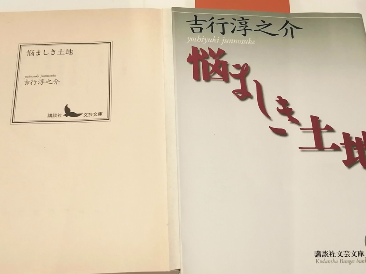 吉行淳之介　原色の街 驟雨/悪い夏 花束 吉行淳之介短編小説集/淳之介養生訓/悩ましき土地　４冊　絶版本　文学　小説　文庫本