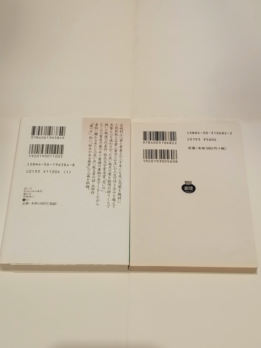 宇野浩二　２冊　「蔵の中　子を貸し屋　他3篇」「思い川　枯れ木のある風景　蔵の中」　絶版本　小説　文学　文庫本 岩波文庫 講談社