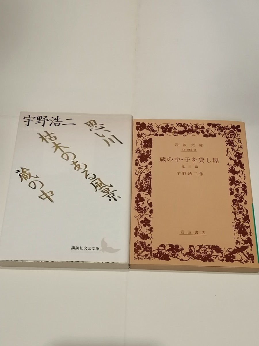 宇野浩二　２冊　「蔵の中　子を貸し屋　他3篇」「思い川　枯れ木のある風景　蔵の中」　絶版本　小説　文学　文庫本 岩波文庫 講談社