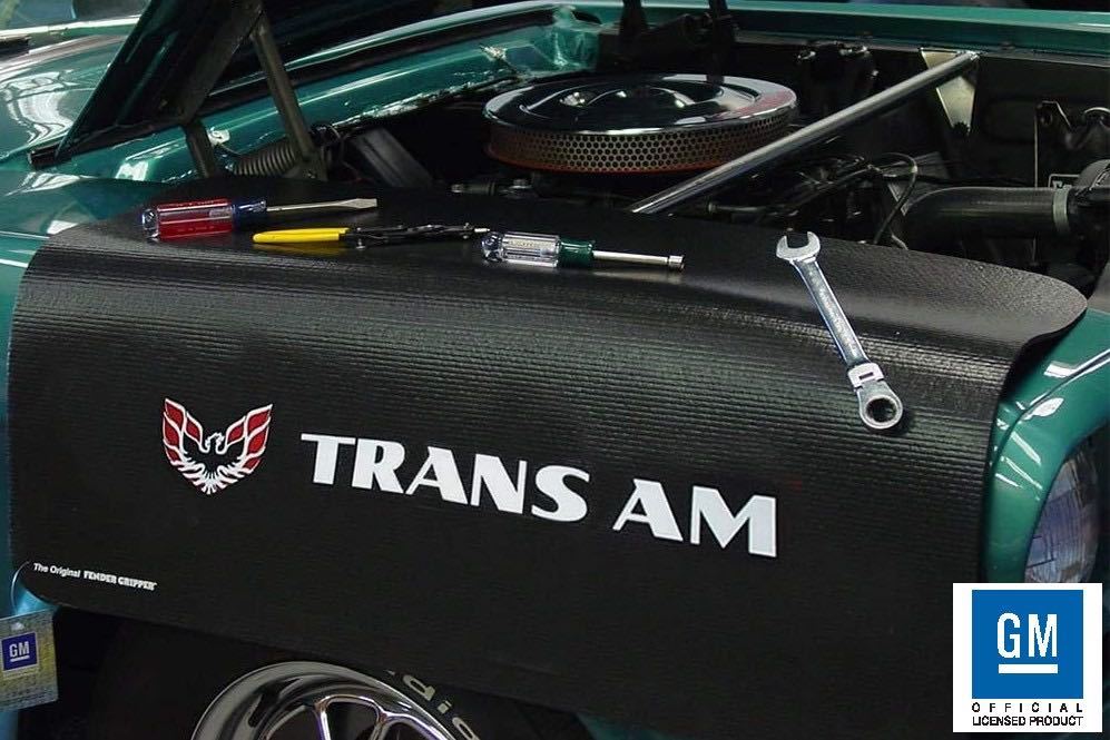 Gmオフィシャル ポンテアックファイヤーバードトランザム フェンダーカバー アメ車 アメリカンマッスルカー シボレー 売買されたオークション情報 Yahooの商品情報をアーカイブ公開 オークファン Aucfan Com Gmオフィシャル ポンテアックファイヤーバードトランザム フェンダーカバー アメ車 アメリカンマッスルカー シボレー 売買されたオークション情報 Yahooの商品情報をアーカイブ公開 オークファン Aucfan Com