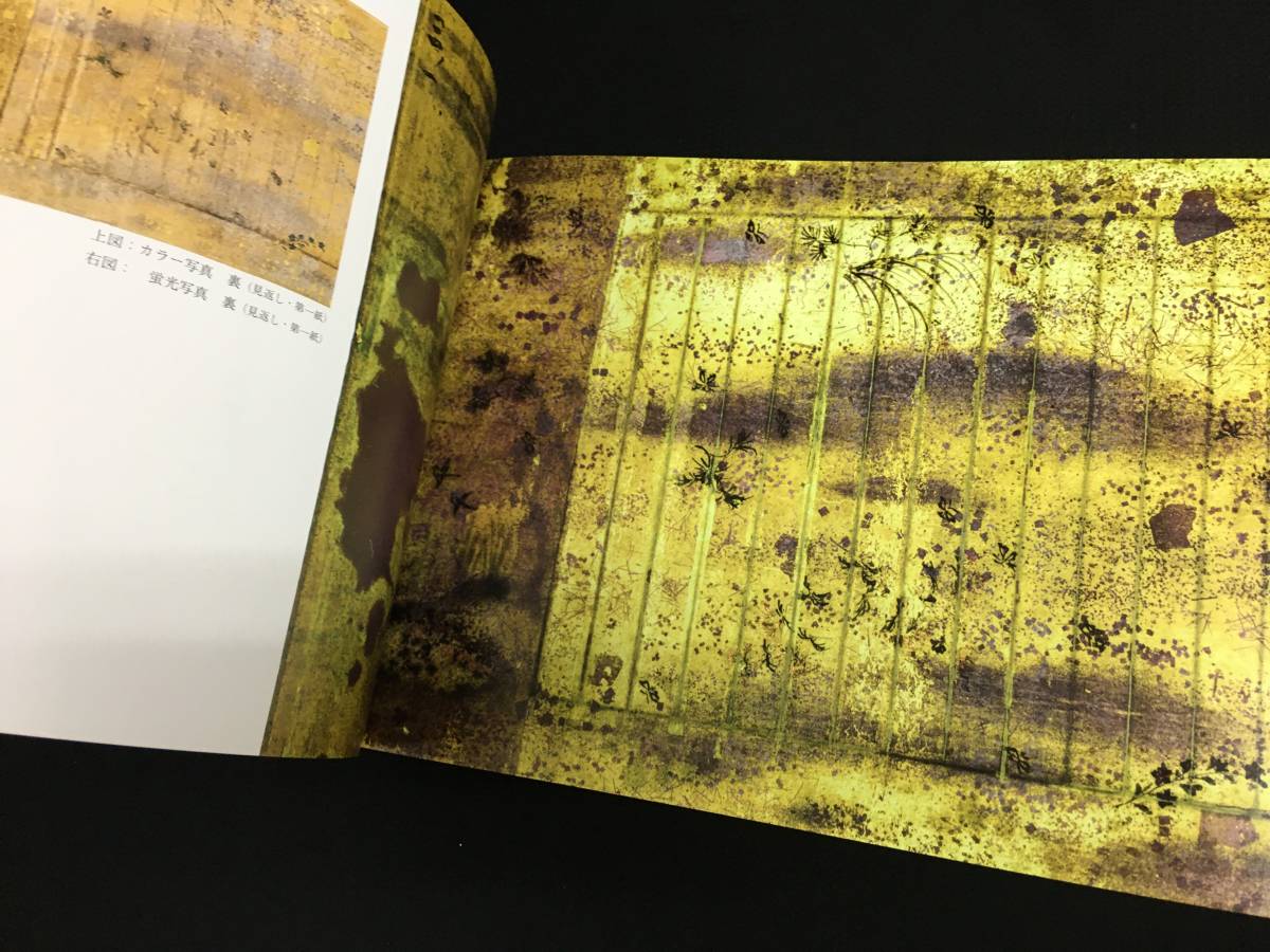 A-016古書「国宝・法華経(久能寺経)薬草喩品第五 光学調査報告書 A-016古書「国宝・法華経(久能寺経)薬草喩品第五 光学調査報告書