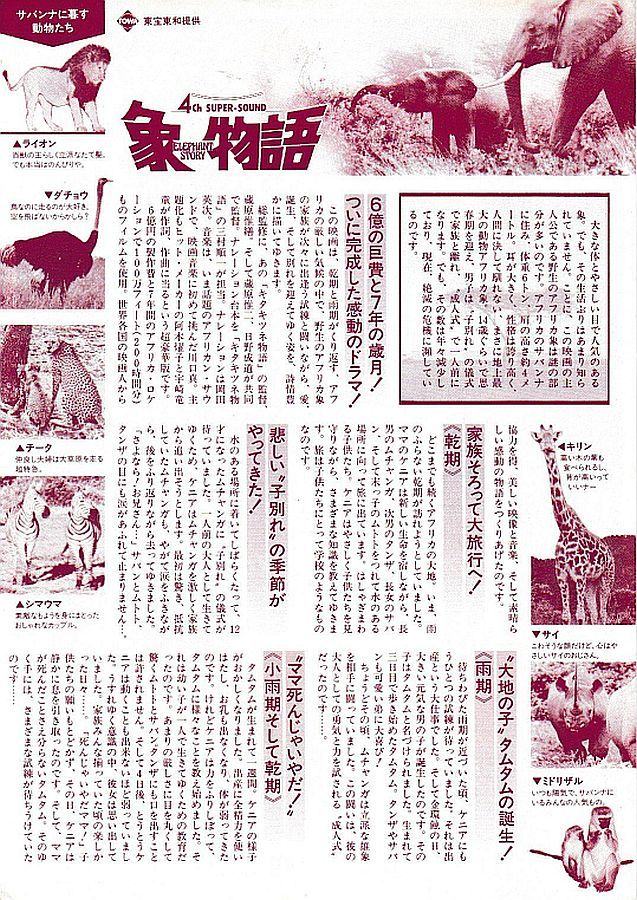 【チラシ】象物語（1980）／ドキュメンタリー　監督 蔵原惟繕_画像2