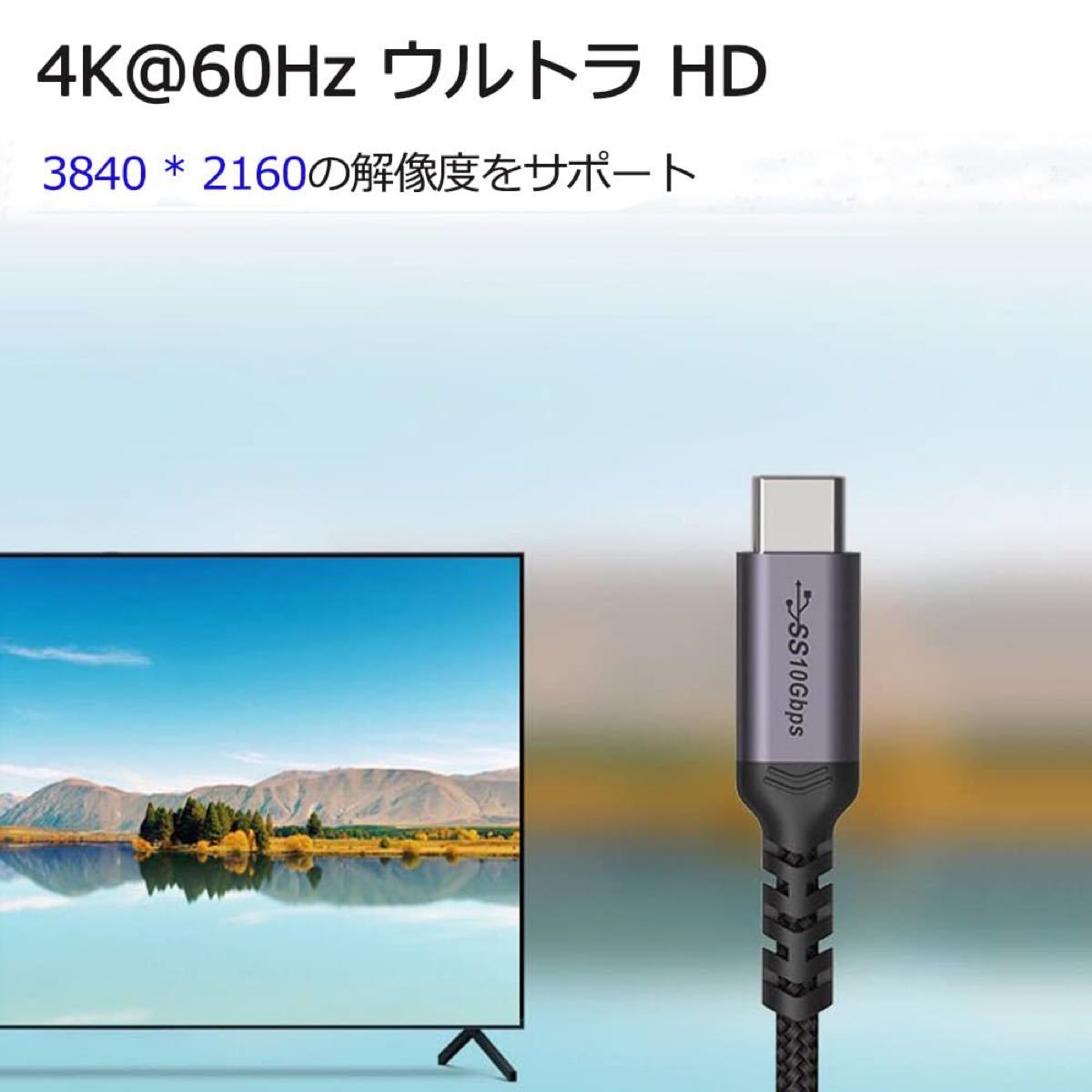 Type C 延長ケーブル  USB 3.1  10Gb 100W/3A 1M 