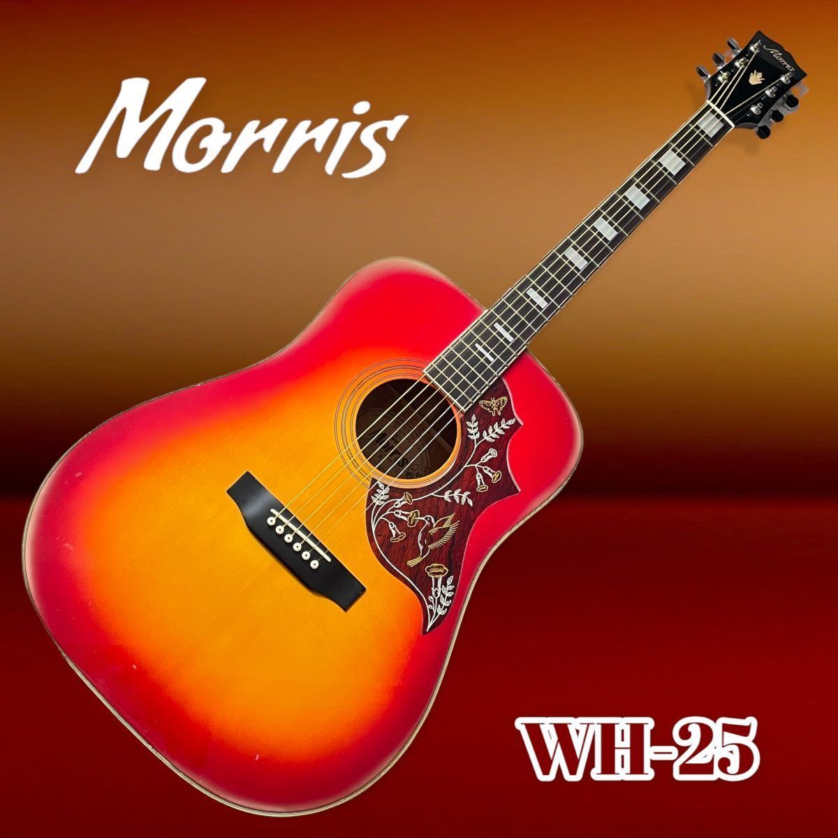 Morris モーリス WH-25 アコースティックギター ハミングバード☆全国