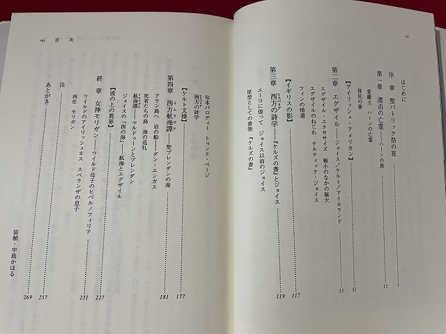 ｊ■　聖パトリック祭の夜　ケルト航海譚とジョイス変幻　著・鶴岡真弓　1993年第1刷　岩波書店/C43_画像5