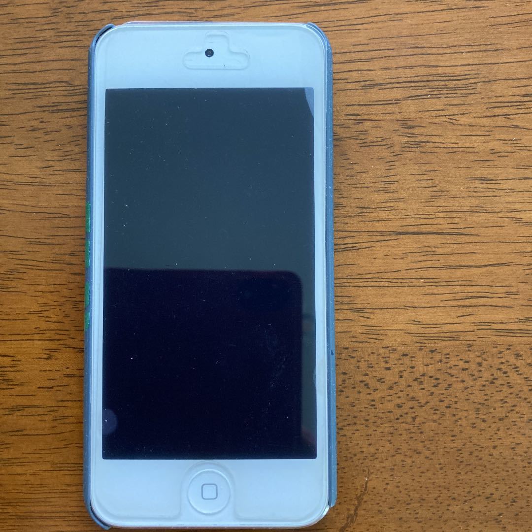 iPod touch 第6世代 ☆32GB☆使用していたケースとフィルム付き www
