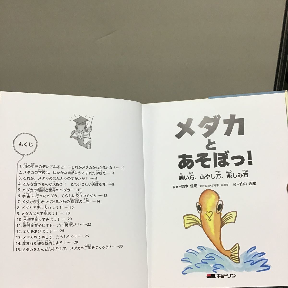 メダカとあそぼう！ ガ④ 絵本 監修 岡本信明 東海大学理事 絵 竹内通雅 ㈱キョーリン 定価1200円_画像2