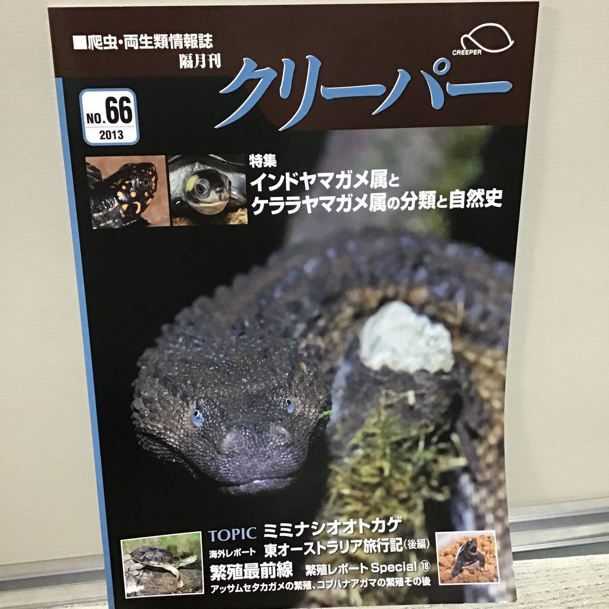 クリーパー 爬虫類 両生類 情報誌 2013 NO.66 ナ② 特集 インド